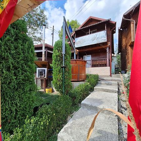 Casa Diana Vila Nucşoara Exterior foto