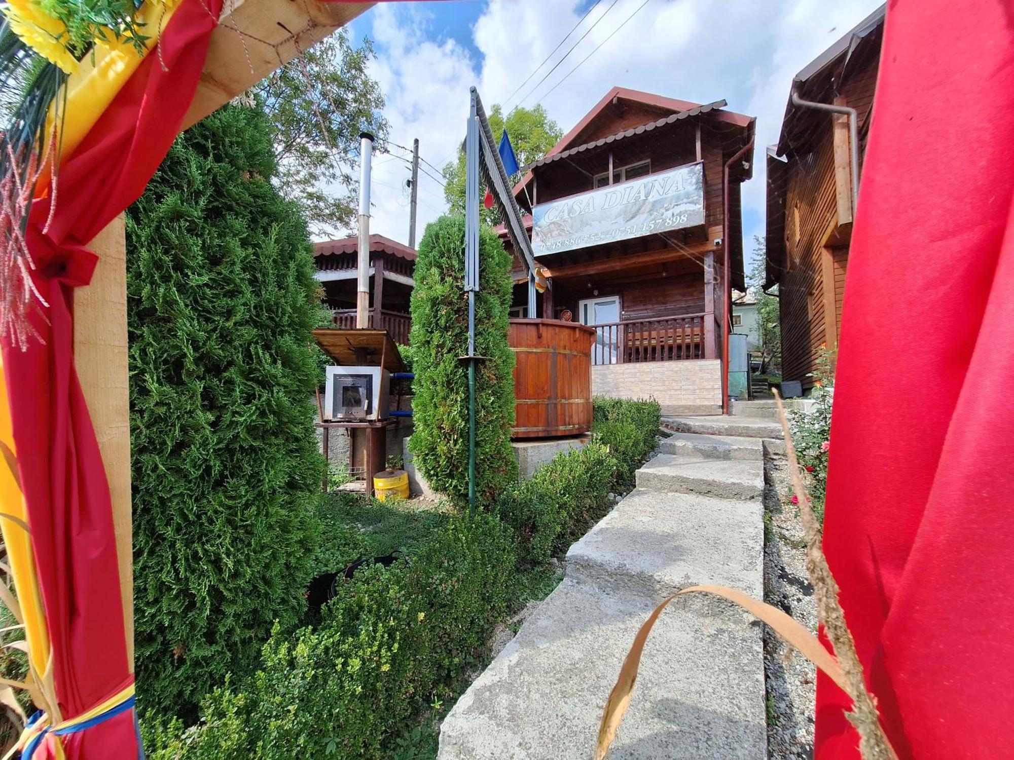 Casa Diana Vila Nucşoara Exterior foto